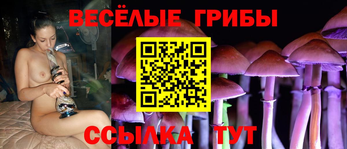 Галлюциногенные грибы Magic Shrooms Сосновоборск